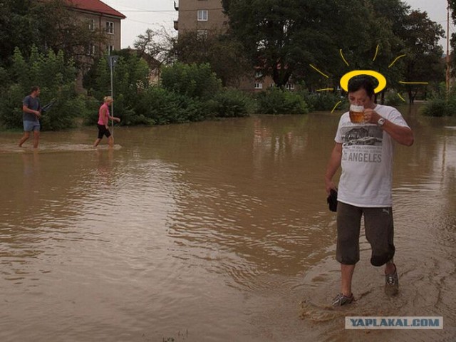 Губит людей не пиво