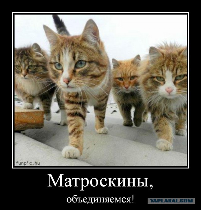 Какой вы персонаж мультфильма?