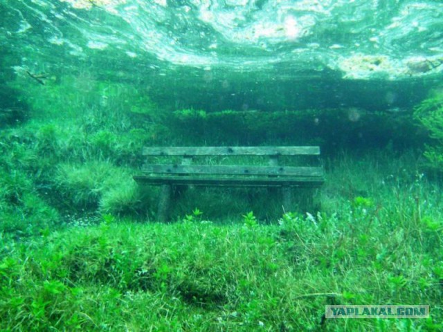 Кому юки отсыпать?