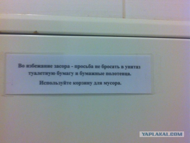 Последнее фото с Вашего телефона.