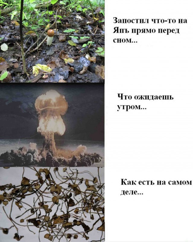 Про пост