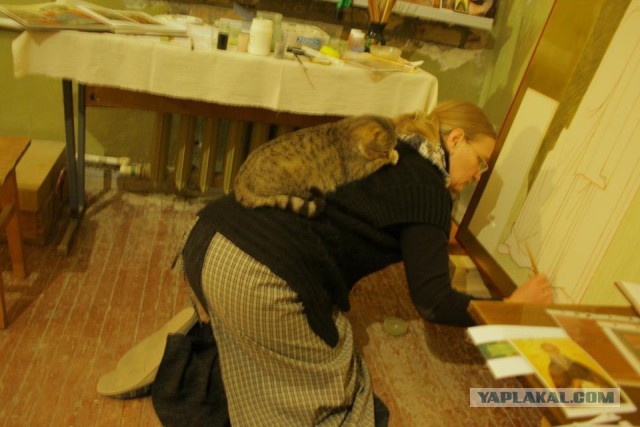 Котовторник