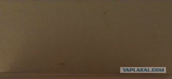 Удачная "групповуха" среди розеток.