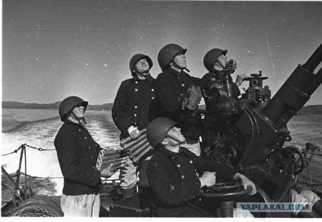 Фотографы войны. Северный флот