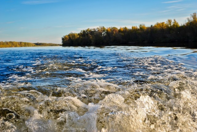 Как я поймал Жереха!