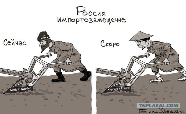 Импортозамещение отклеилось