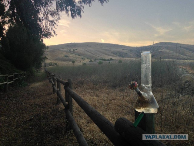 Картинки и приколы из сети