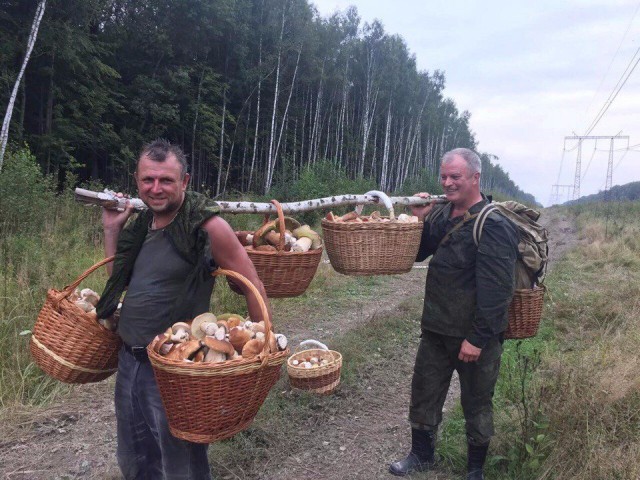 Порция картинок из сети