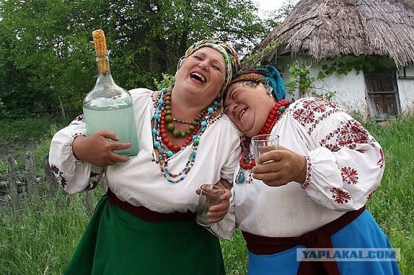 Лишь бы на халяву. Менталитет-с.