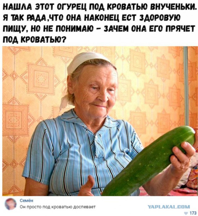 Смешные комментарии из социальных сетей 04.08.2017
