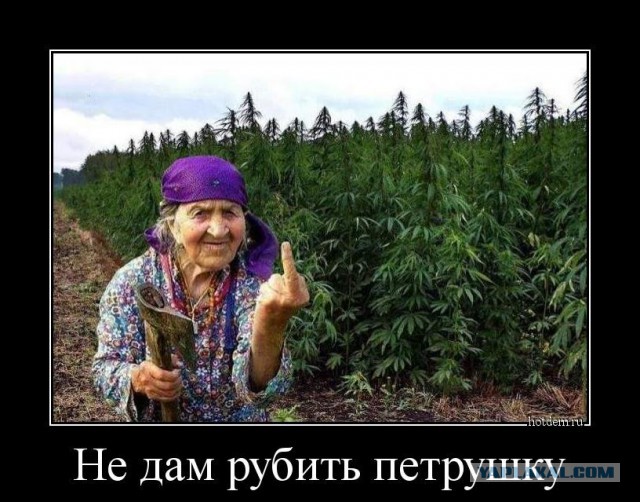Картинки приколы канопли