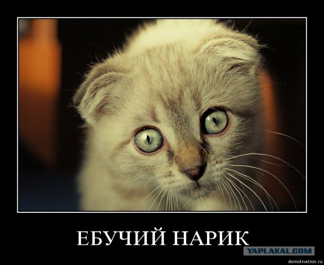 Про фен (не для волос)
