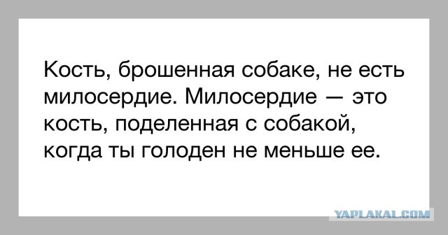 Гусевцы на выборы берите собой тележки
