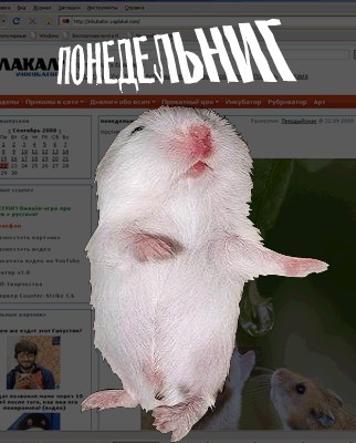 Понедельнечных хомяков топик