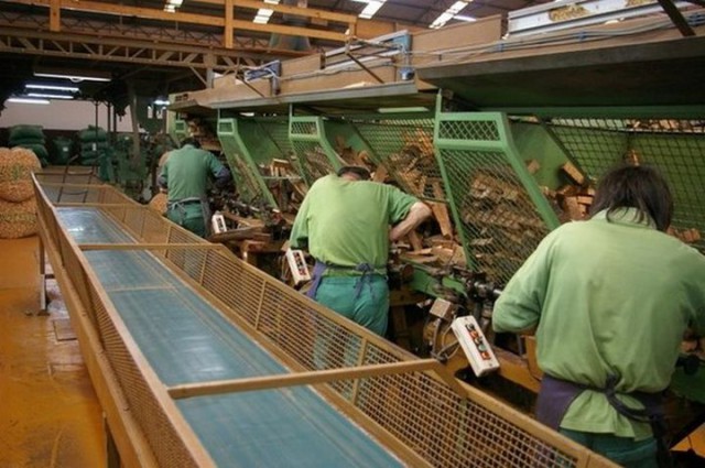 Из чего и как делают пробку