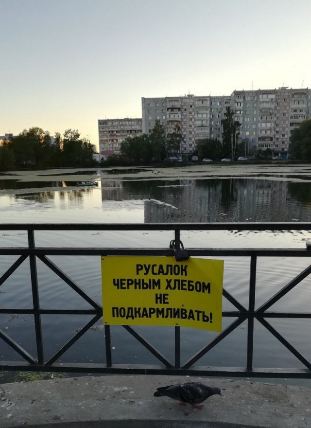 Картинки по-приколу