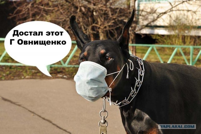 Оденьте масочку!