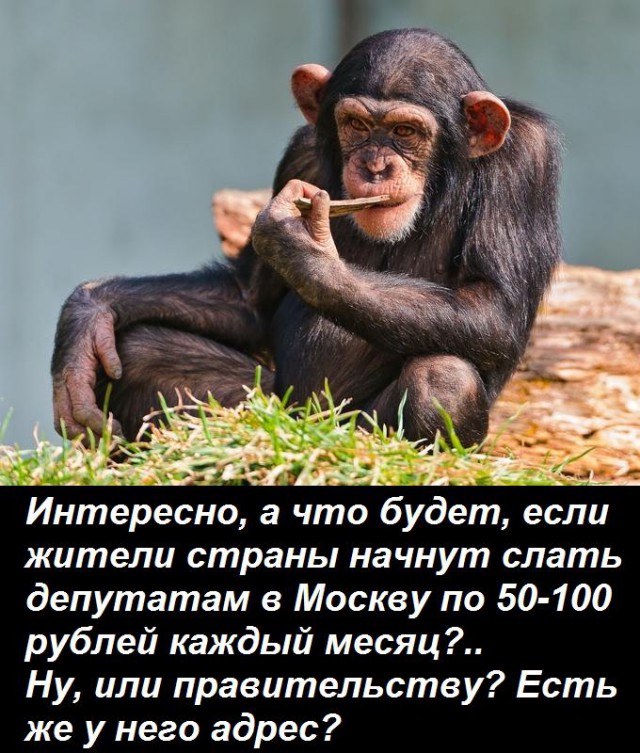 Бывший губернатор Светлана Орлова, она же новый аудитор Счетной палаты