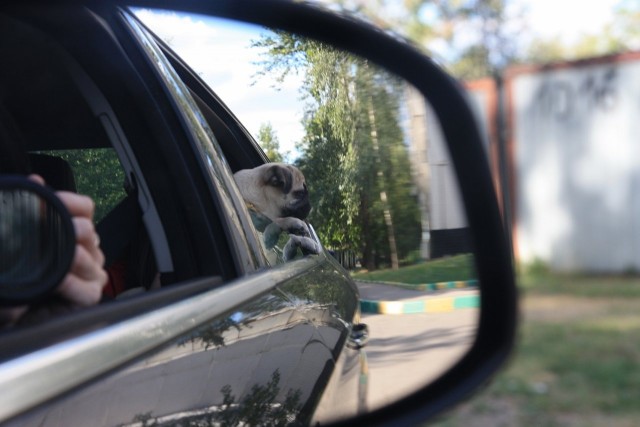 Друзья