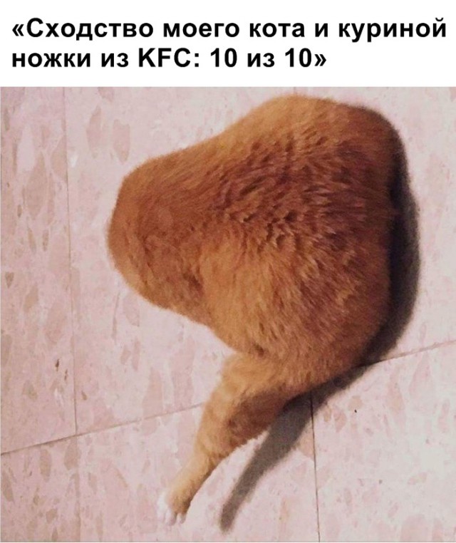 Нестандартный юмор