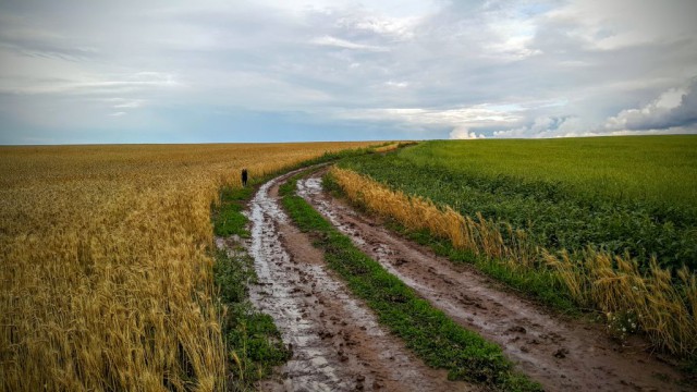 Красота сельских дорог