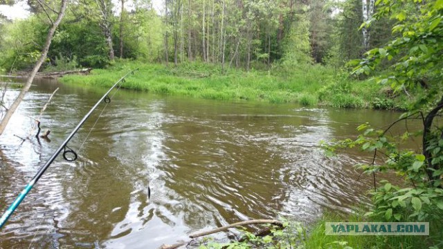 Весна, ждем рыбалки по открытой воде.