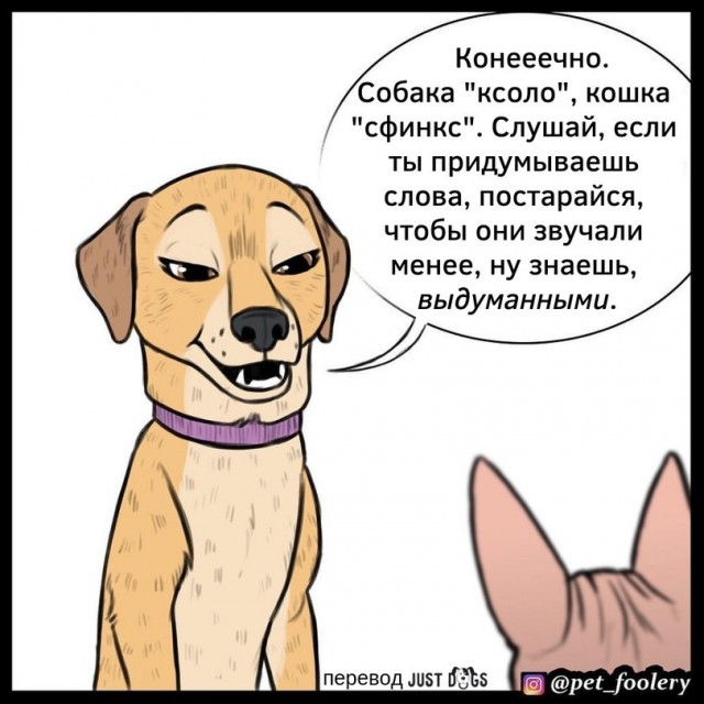 Бруд и Пикси