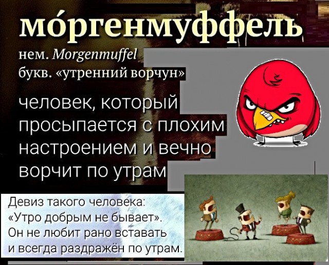 Моргенмуффель прикольные картинки