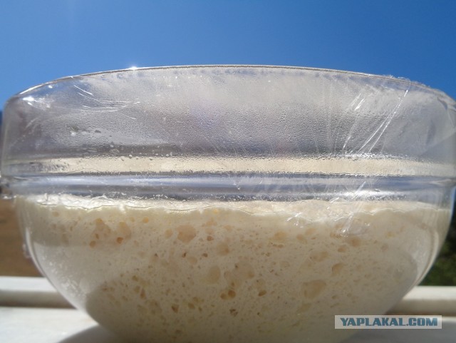 О сфинчоне в высших сферах