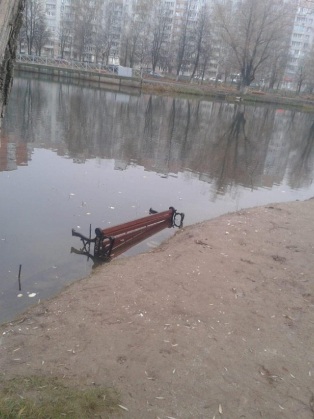 Скамейки в пруду: вандалы разгромили только что благоустроенный парк в Ярославле