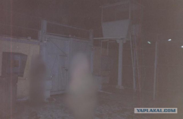 Дисбат. Взгляд со стороны