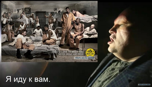 Они буду рады с вами познакомиться