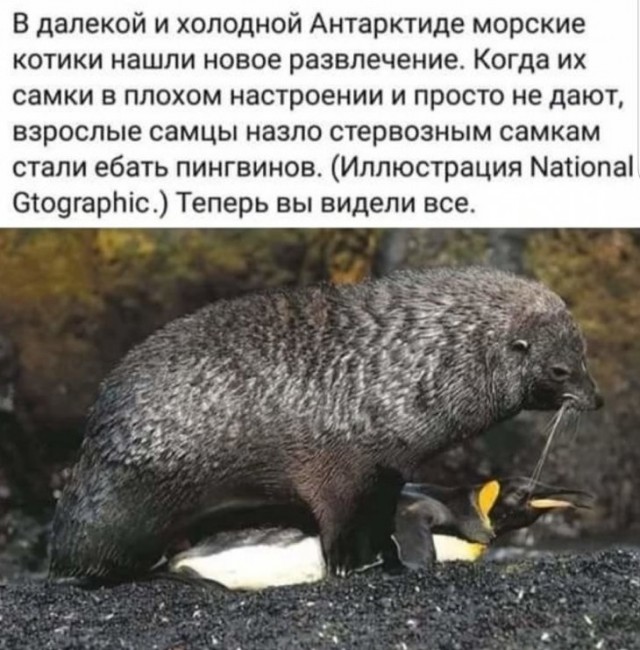 Как можно наказать женщину за отсутствие секса?