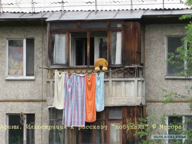Конкурс: подпись к картинке