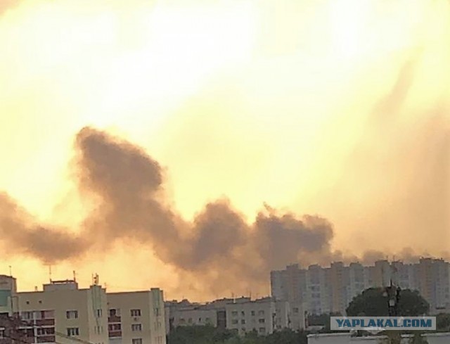 Бригада пожарных, погибших при тушении пожара на месте взрыва в Бейруте