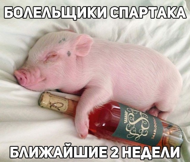 Футбол Спартак