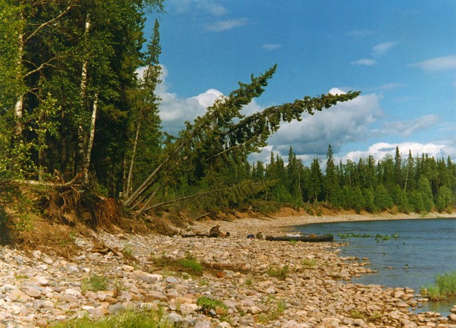 Деревенская Америка - 7