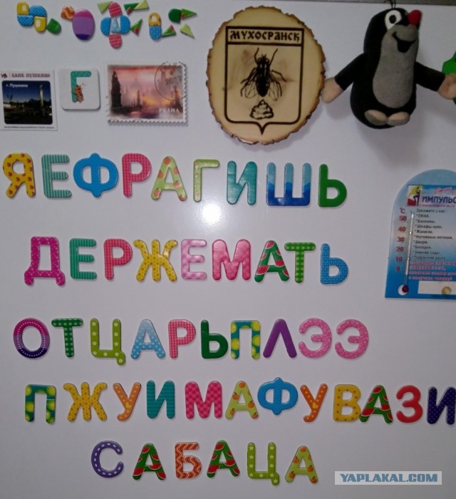 Магнит на холодильник из Мухосранска