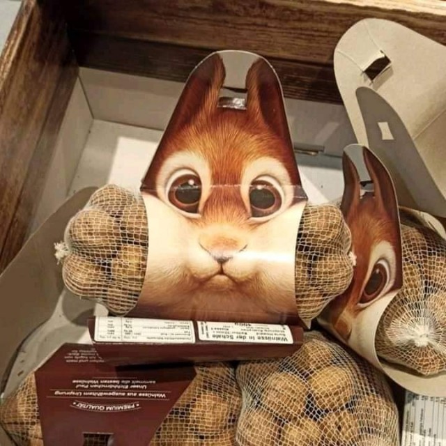 Смеркалось