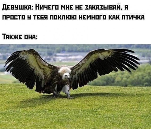 Картинки с надписями и всякие жизненные фразы 7.01.2021