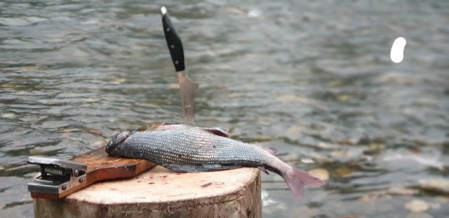 В ожидании жидкой воды воспоминания о 2020