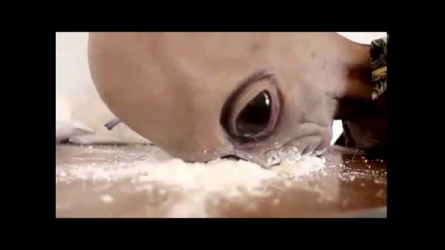 Что там рядом с Луной?