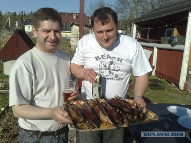 Все из рыбы!