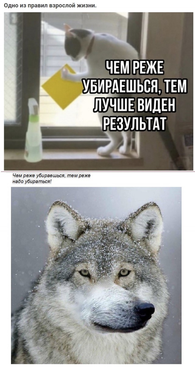 Картинки с надписями и всякие жизненные фразы 27.06.21