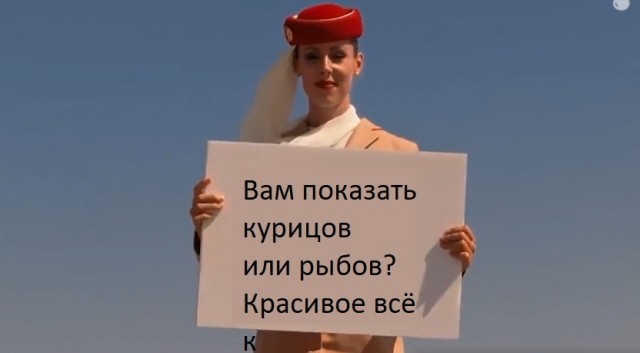 Необычный рекламный ролик от Fly Emirates
