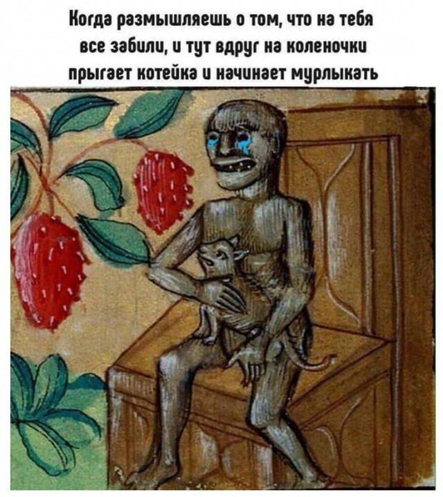 Картинки и мемы для настроения