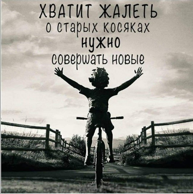 Всяческие картинки 15.11.2021