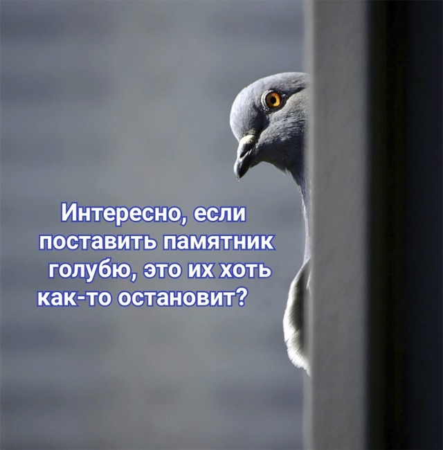 Немного картинок и прочей хреноты Vol. 15