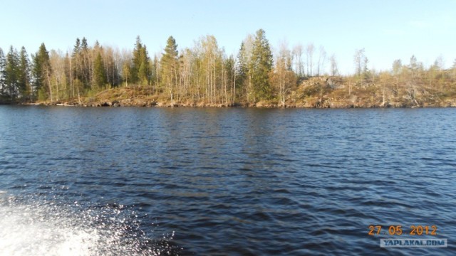 Рыбалка на Онеге
