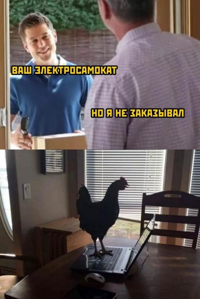 Картинки и мемы для настроения - 15